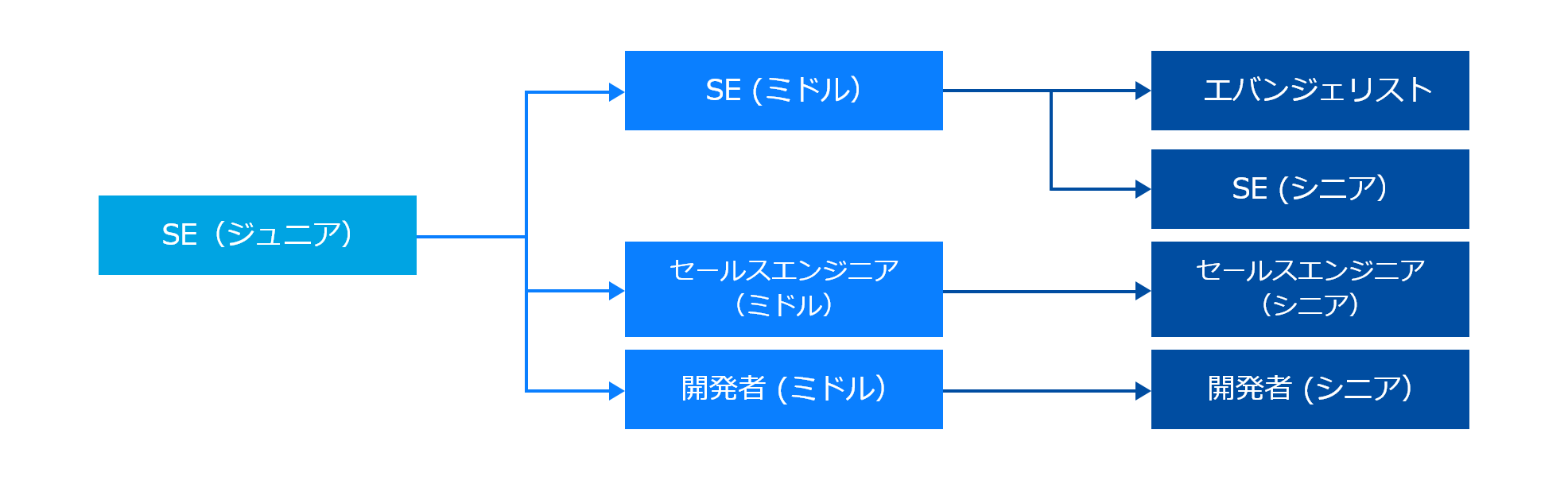 入社後のキャリアイメージ